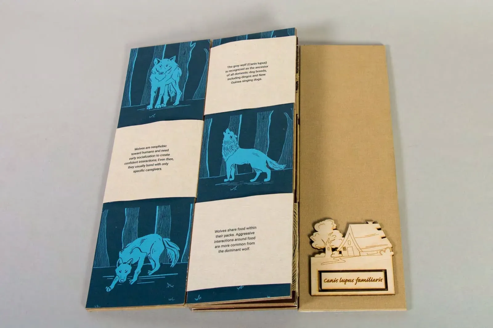 Canidae