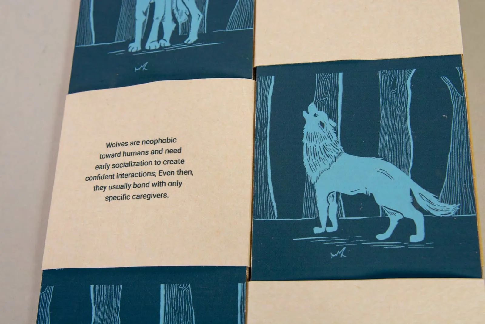 Canidae